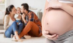 �����Թ�Ӥ����������Ļ���Ҫ�󡢸��������������ô�