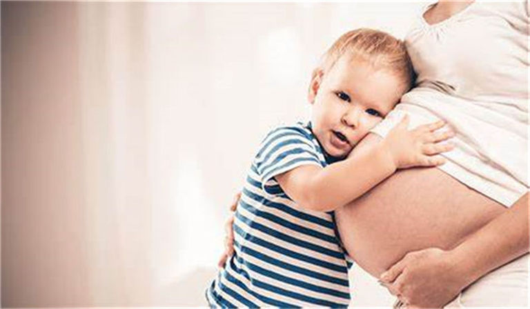 ��������������̥��ֲ